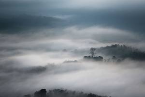 BIB: 
                            <button type="button" onclick="openModal(21900086)" class="btn btn-primary btn-sm float-right btn-popup" data-toggle="modal" data-target=".modal-high-quality">
                        <i class="fas fa-shopping-cart"></i> Add to Cart
                    </button>
                                            <button type="button" onclick="isThisMe(21900086, true)" class="btn btn-success btn-sm float-right btn-popup btn-isme hidden" data-toggle="tooltip" data-placement="bottom" title="นี่คือรูปของคุณใช่ไหม คลิกที่นี่เพื่อเอาเข้าอัลบั้ม">
                        <i class="fas fa-plus"></i> Add to album
                    </button>
                    <button type="button" onclick="isThisMe(21900086, false)" class="btn btn-warning btn-sm float-right btn-popup btn-isnotme hidden">
                        <i class="fas fa-ban"></i> Remove from album
                    </button>